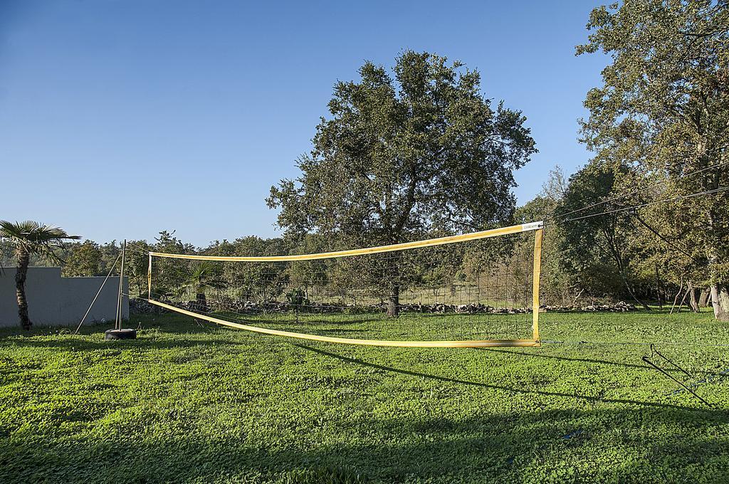 Villa Paolija Novigrad  Exterior photo