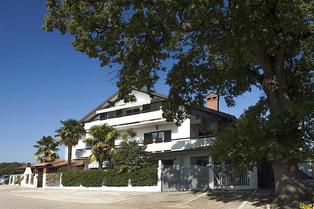 Villa Paolija Novigrad  Exterior photo